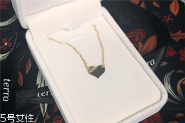 terra项链官网,terra项链是什么档次的 terra项链官网,terra项链是什么档次的