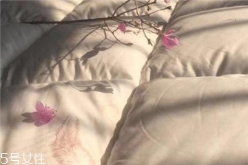 羽绒被会长螨虫吗,羽绒被会生螨虫吗?