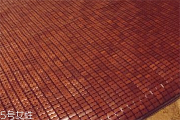 凉席会生虫子吗,凉席上的小虫子是什么虫