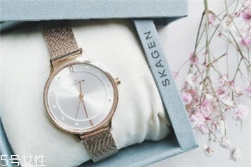 skagen是什么牌子,这个手表卖多少钱?,skagen手表怎么样