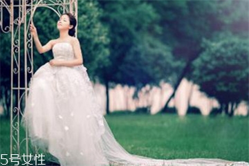 婚纱可以熨烫吗,婚纱可以挂烫机熨烫吗