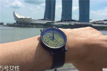 forrest是什么牌子,tires是什么牌子