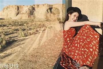 蕾丝连衣裙的款式图片,立领女连衣裙