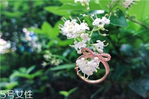 戒指冲进下水道怎么办,戒指掉进下水道怎么办 戒指冲进下水道怎么办,戒指掉进下水道怎么办