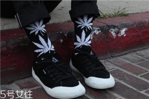 枫叶袜子是什么牌子,枫叶长袜是什么牌子 枫叶袜子是什么牌子,枫叶长袜是什么牌子