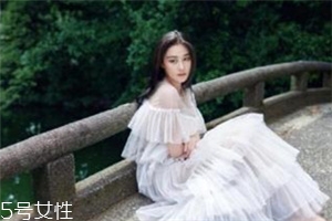 网纱连衣裙,网纱刺绣连衣裙长裙