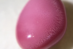 海螺珍珠价格多少一克,海螺珠的价格 海螺珍珠价格多少一克,海螺珠的价格