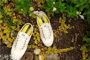 novesta可以在哪里买,novesta中国专柜