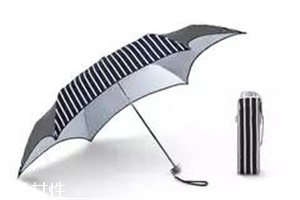 fulton雨伞多少钱,fulton雨伞什么档次 fulton雨伞多少钱,fulton雨伞什么档次