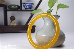 什么样的玉有收藏价值,独龙玉和翡翠的价值 什么样的玉有收藏价值,独龙玉和翡翠的价值