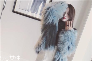 皮草改色多少钱,皮草染色需要多少钱