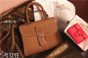 delvaux包包价格表,delvaux包包价格表图片