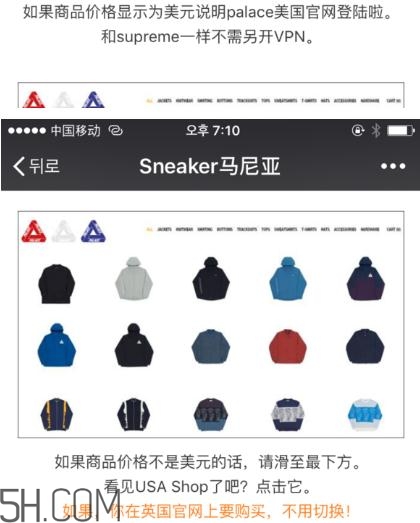 palace怎么买,palace官网中国如何购买