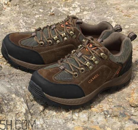 骆驼牌衣服是哪里产的,和骆驼差不多的品牌