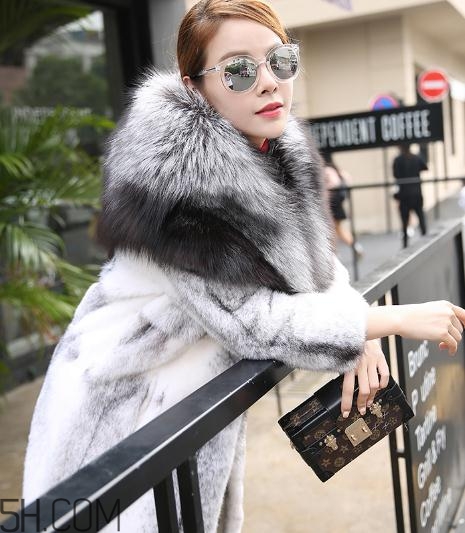 丹麦貂和美国貂哪个好,丹麦水貂好还是美国貂好?