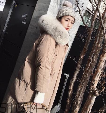 狐狸毛皮草如何清洗和保养,毛领掉毛怎么解决 狐狸毛皮草如何清洗和保养,毛领掉毛怎么解决