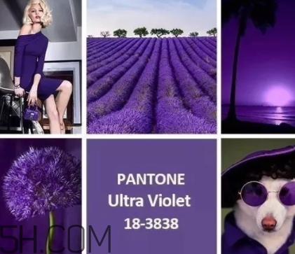 今年流行啥颜色衣服,今年过年流行什么颜色的衣服