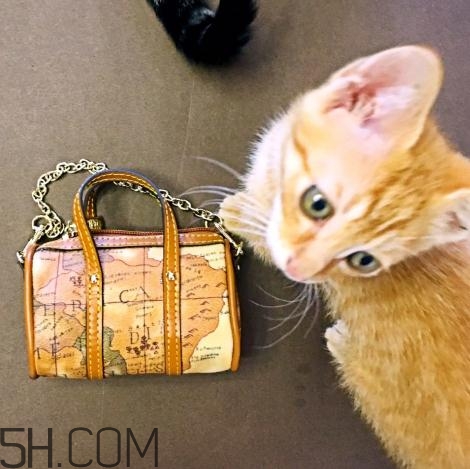 sobdeall包包官网,sadi包包的档次 sobdeall包包官网,sadi包包的档次