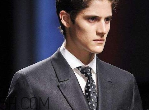 ermenegildo zegna官网,ermenegildo zegna是什么牌子