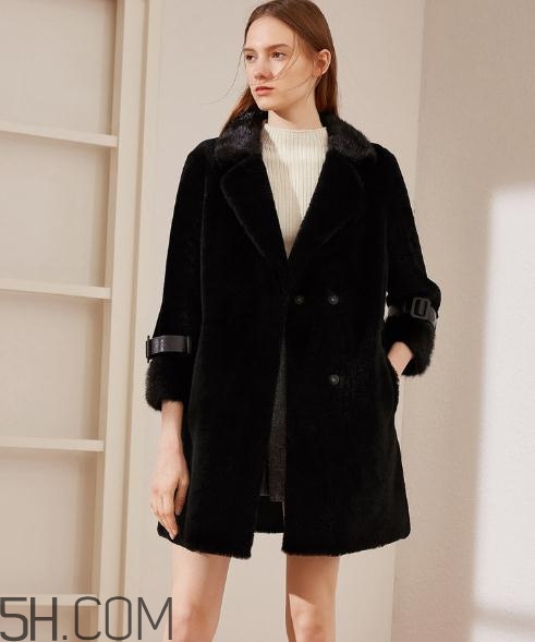 伊芙丽的衣服贵吗?,伊芙丽的衣服为什么贵