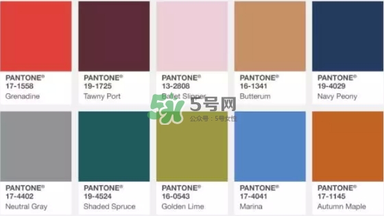 今年流行的什么颜色,今年的流行色是什么颜色冬季