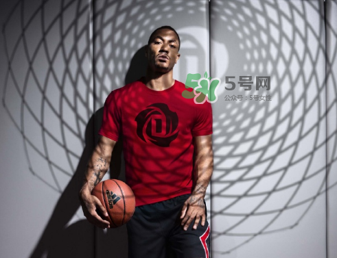 2017年罗斯中国行,罗斯中国行图片 2017年罗斯中国行,罗斯中国行图片