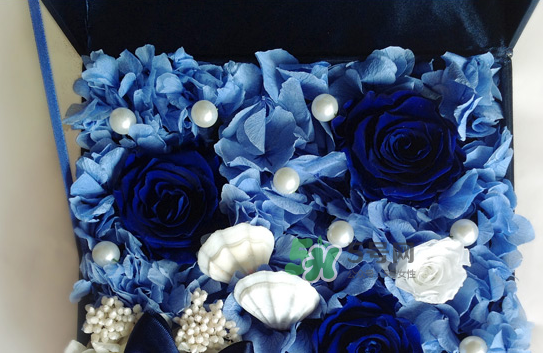 野兽派的永生花,野兽派永生花可以保持多久