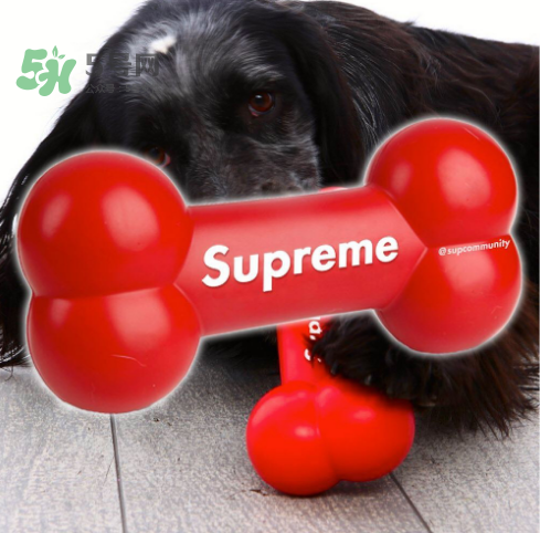 supreme玩具熊