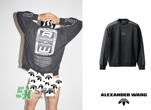 adidas x alexander wang 联名外套尺寸,alexander wang 阿迪达斯联名
