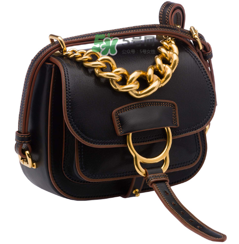 马鞍包有几个尺寸,miumiu宝石马鞍包