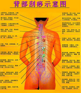 什么水果可以养肝(吃什么水果养肝)