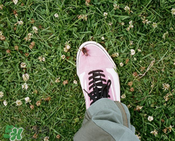 vans2020年发售鞋,vans2020秋季新款 vans2020年发售鞋,vans2020秋季新款