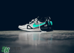 耐克巴黎dunk多少钱,耐克dunk系列价格