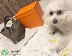 有哪些牌子的菜篮子包,菜篮子包什么颜色好看