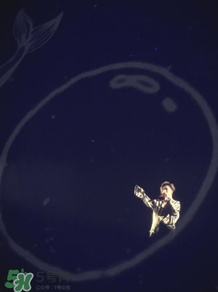 高磊鑫的个人资料,高磊鑫是哪里人 高磊鑫的个人资料,高磊鑫是哪里人