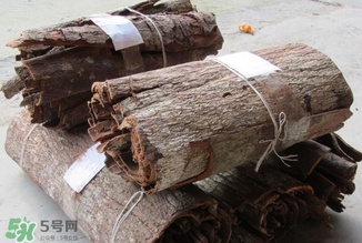 安哥拉树皮副作用,你绝对没听过安哥拉树皮的副作用