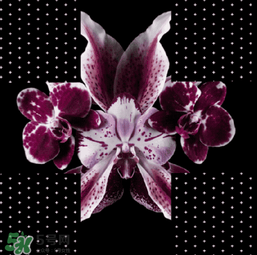 520大声说出我爱你方案,520大声说出我爱你400