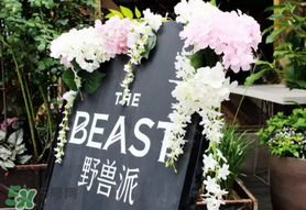 野兽派的花为什么这么贵,野兽派鲜花价位