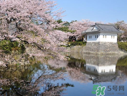 10月下旬去日本穿什么衣服,日本现在穿什么衣服合适