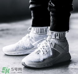 puma裤子怎么鉴定真伪,怎样辨别puma鞋子的真假