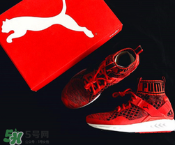 puma鞋码对照表 女鞋,puma裤子尺码对照表 puma鞋码对照表 女鞋,puma裤子尺码对照表