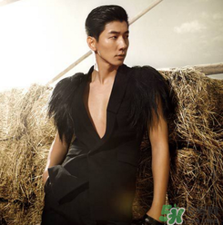 peacebird和太平鸟的区别,太平鸟是一个品牌吗