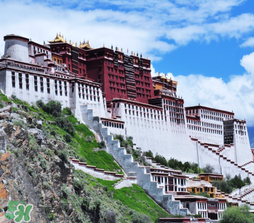 四月份去西藏穿什么衣服,这个季节去拉萨穿什么衣服合适 四月份去西藏穿什么衣服,这个季节去拉萨穿什么衣服合适