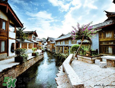 丽江4月份穿什么衣服合适,2月份去丽江穿啥衣服 丽江4月份穿什么衣服合适,2月份去丽江穿啥衣服