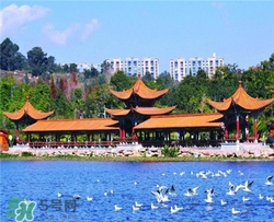 这个季节去昆明穿什么衣服,昆明三四月份穿什么