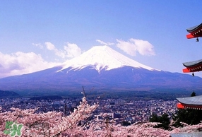 日本3月份天气情况,日本3月份天气穿什么