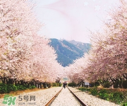 韩国3月份天气穿什么,韩国3月份天气