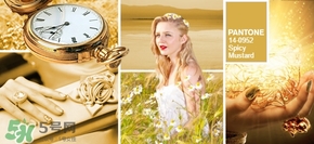 陶土棕是什么颜色,陶土红棕色适合什么肤色