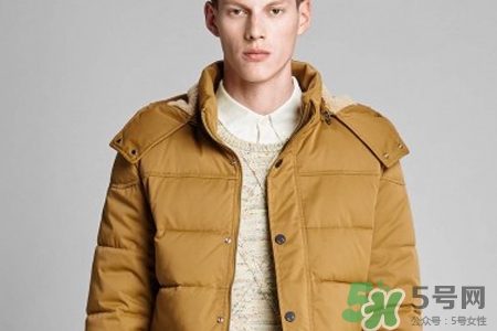 羽绒棉是什么棉,羽绒棉是什么样的图片