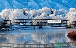 冬天穿什么衣服保暖又好看?,冬天穿什么衣服 冬天穿什么衣服保暖又好看?,冬天穿什么衣服